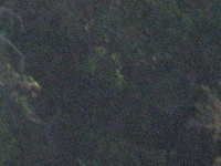 20100206 541.JPG